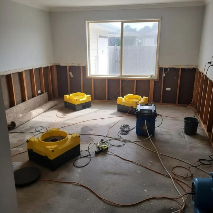 Drying & Dehumidification